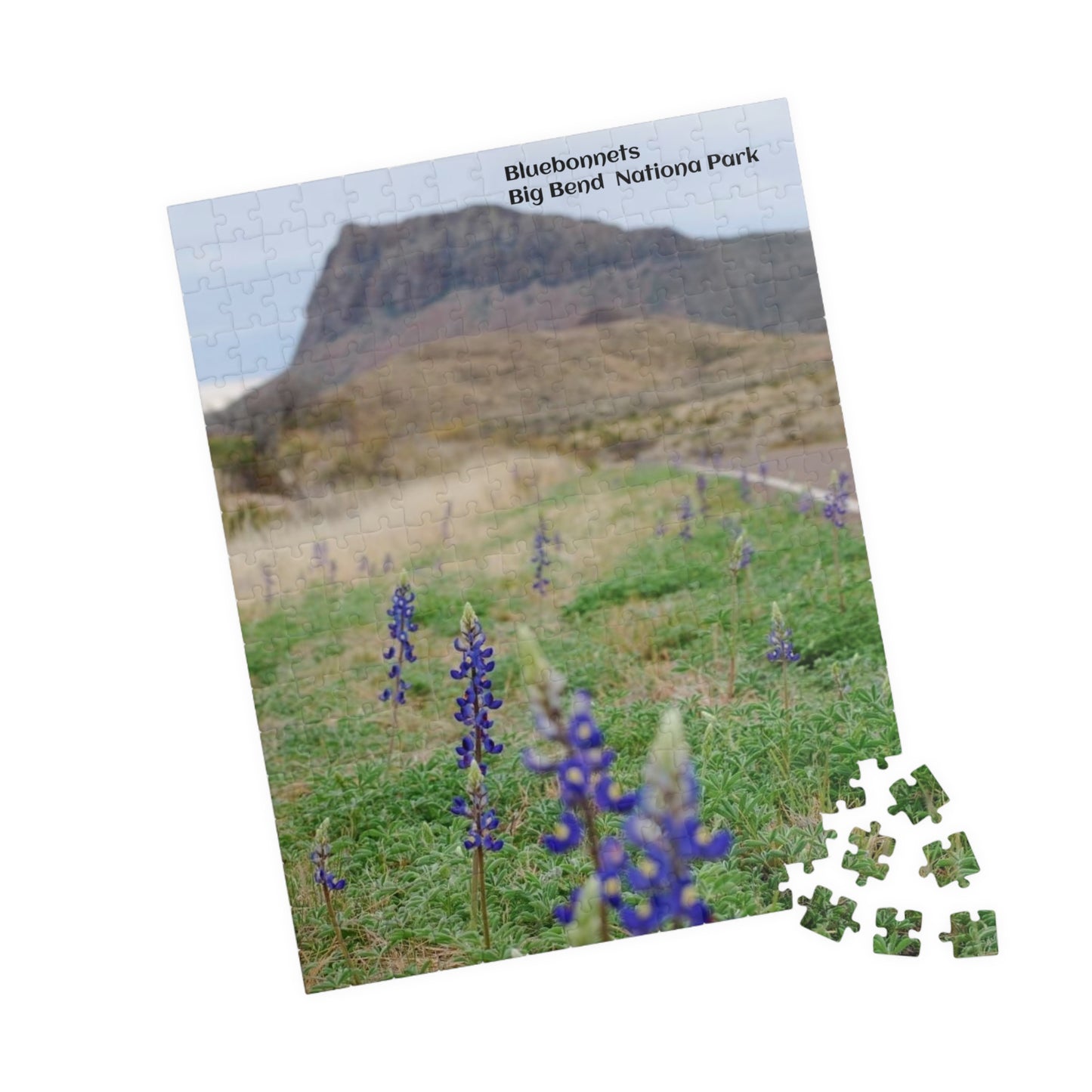 Puzzle US National Parks Series, Big Bend National, Texas Bluebonnets 110, 252, 520,  Pieces Unique Jigsaw Family Adults landscape