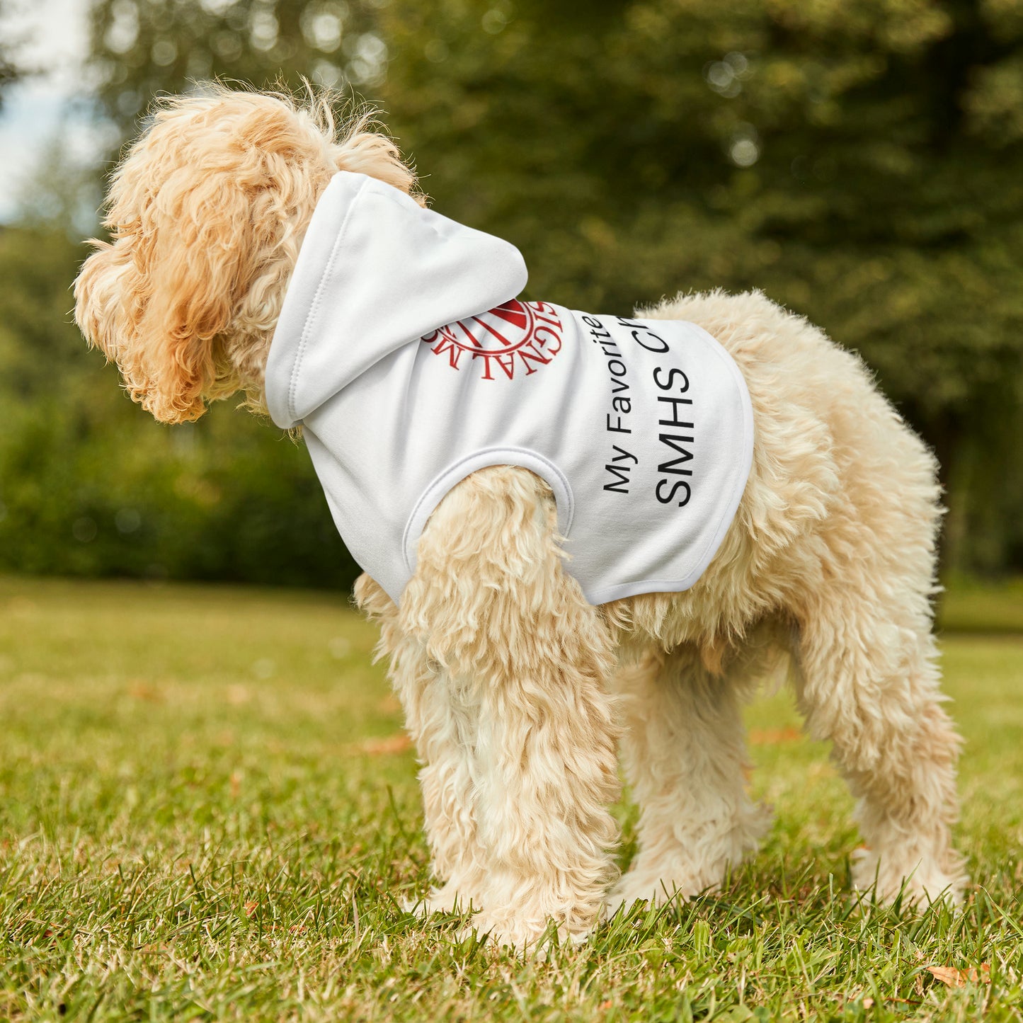 Signal Mountain Cheer Pet Hoodie, My Favorite Hooman is a Signal Mountain Cheerleader.