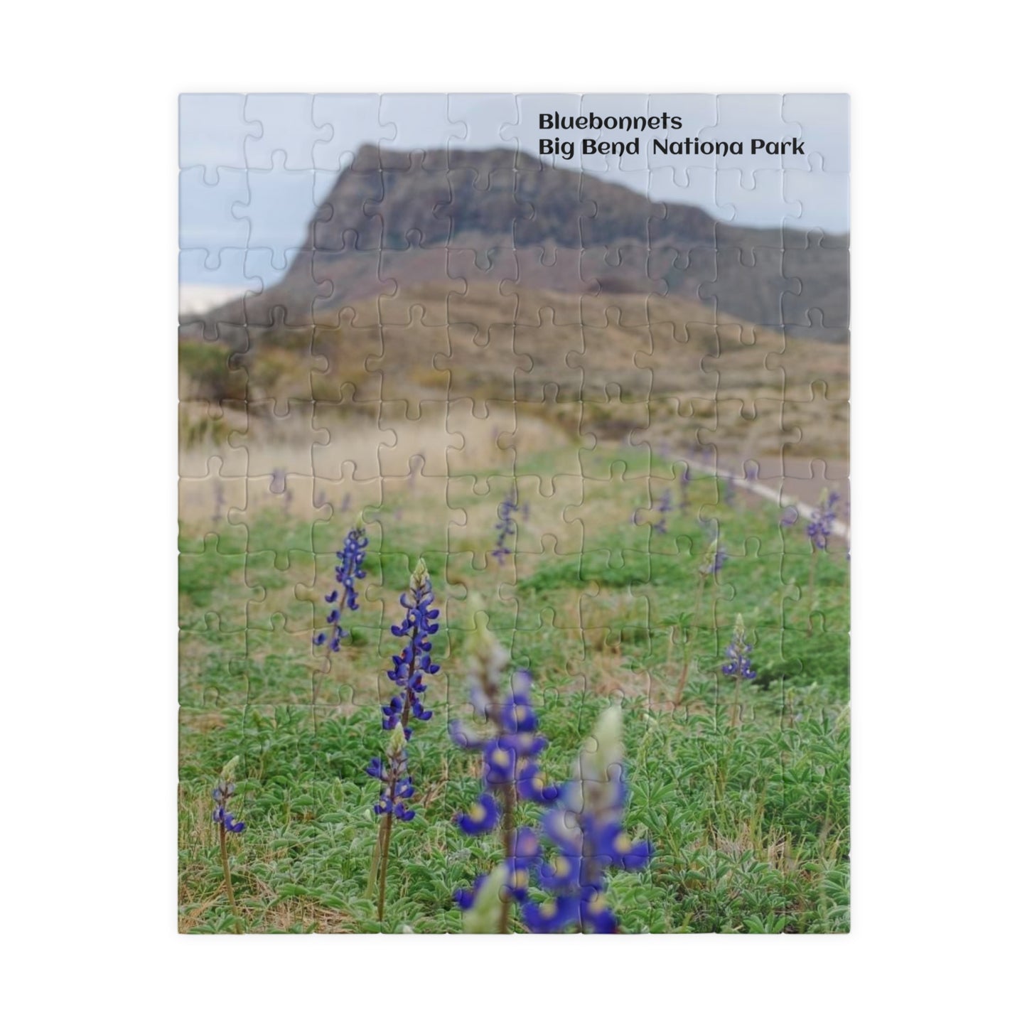 Puzzle US National Parks Series, Big Bend National, Texas Bluebonnets 110, 252, 520,  Pieces Unique Jigsaw Family Adults landscape