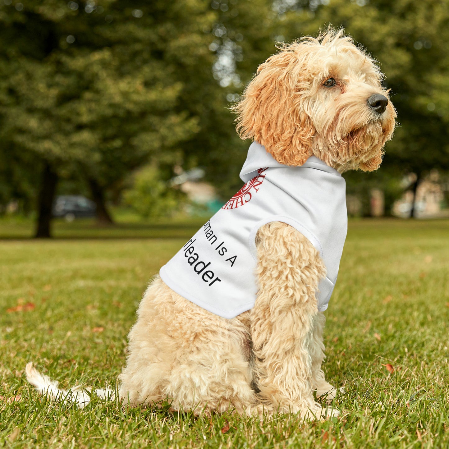 Signal Mountain Cheer Pet Hoodie, My Favorite Hooman is a Signal Mountain Cheerleader.