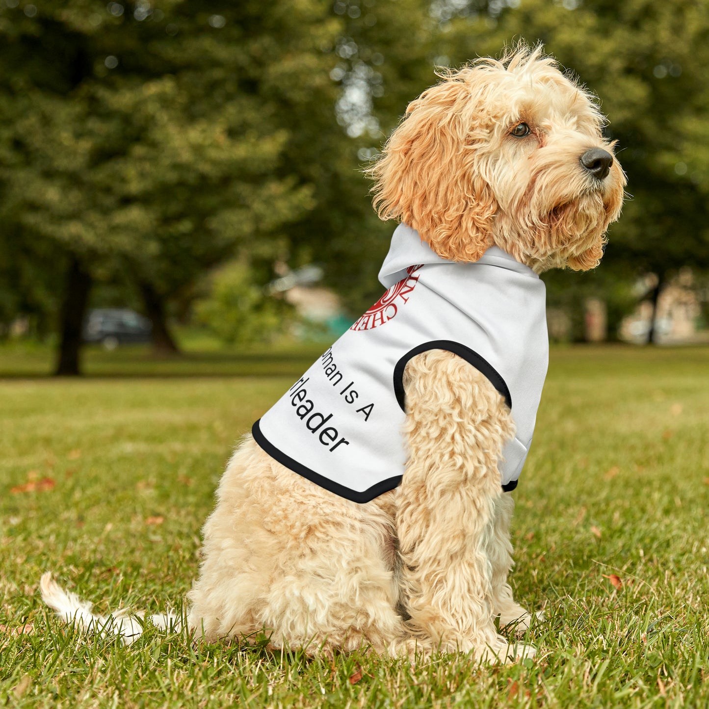 Signal Mountain Cheer Pet Hoodie, My Favorite Hooman is a Signal Mountain Cheerleader.