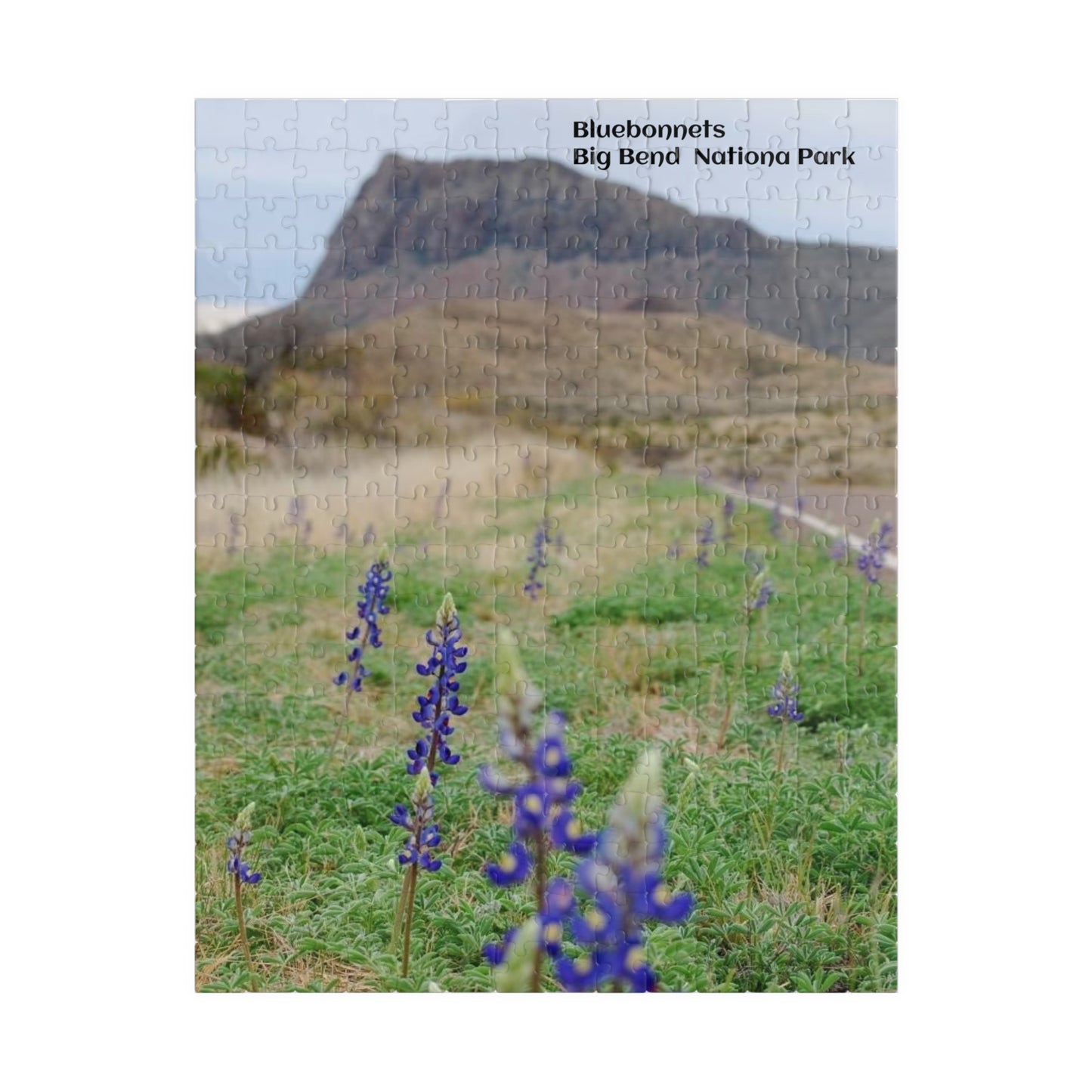 Puzzle US National Parks Series, Big Bend National, Texas Bluebonnets 110, 252, 520,  Pieces Unique Jigsaw Family Adults landscape