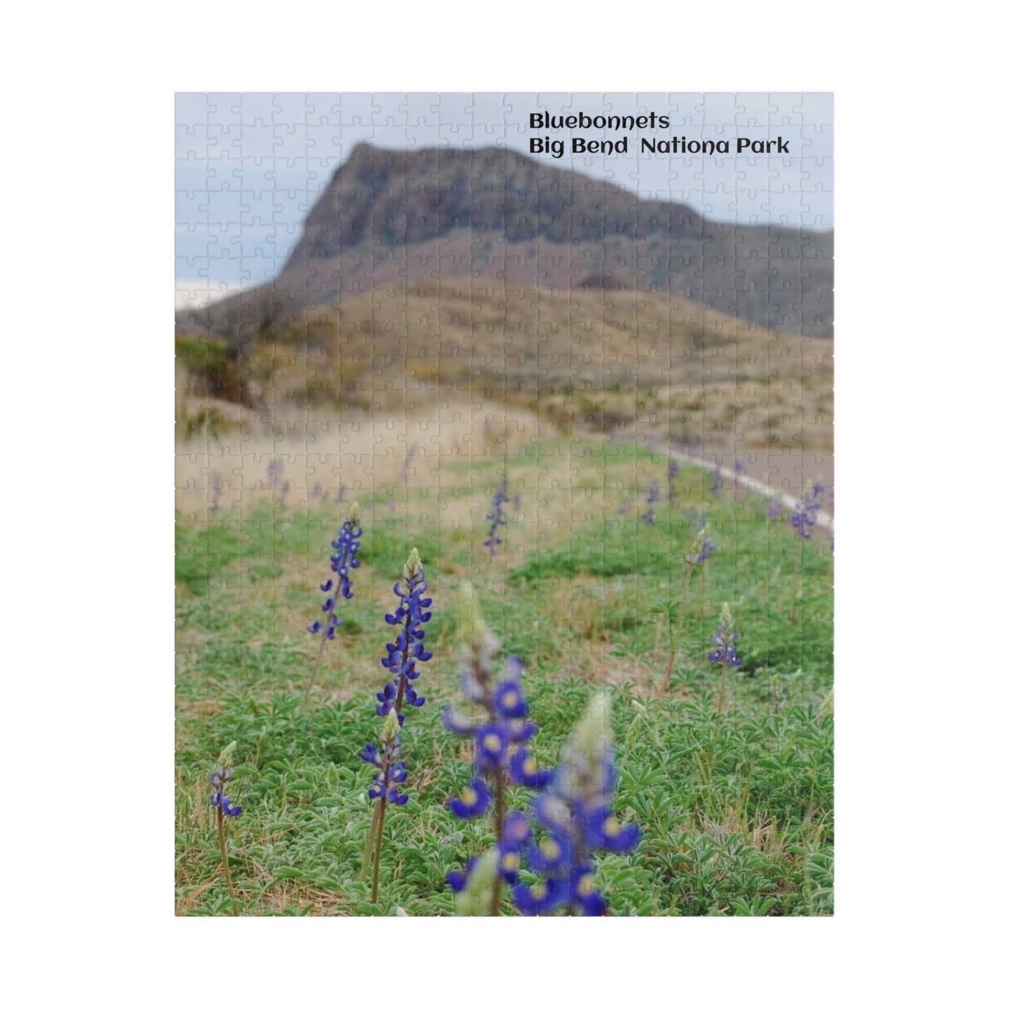 Puzzle US National Parks Series, Big Bend National, Texas Bluebonnets 110, 252, 520,  Pieces Unique Jigsaw Family Adults landscape