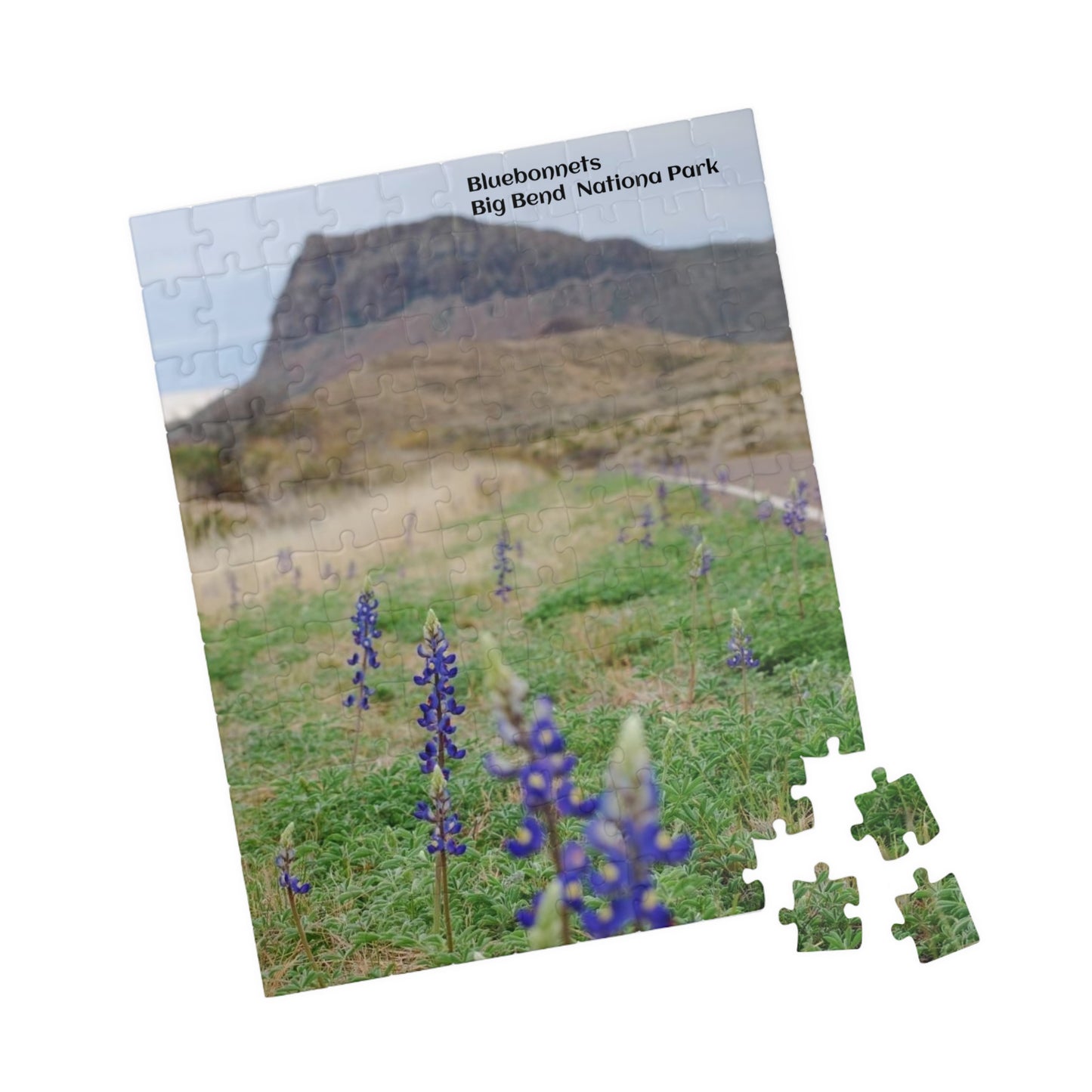 Puzzle US National Parks Series, Big Bend National, Texas Bluebonnets 110, 252, 520,  Pieces Unique Jigsaw Family Adults landscape