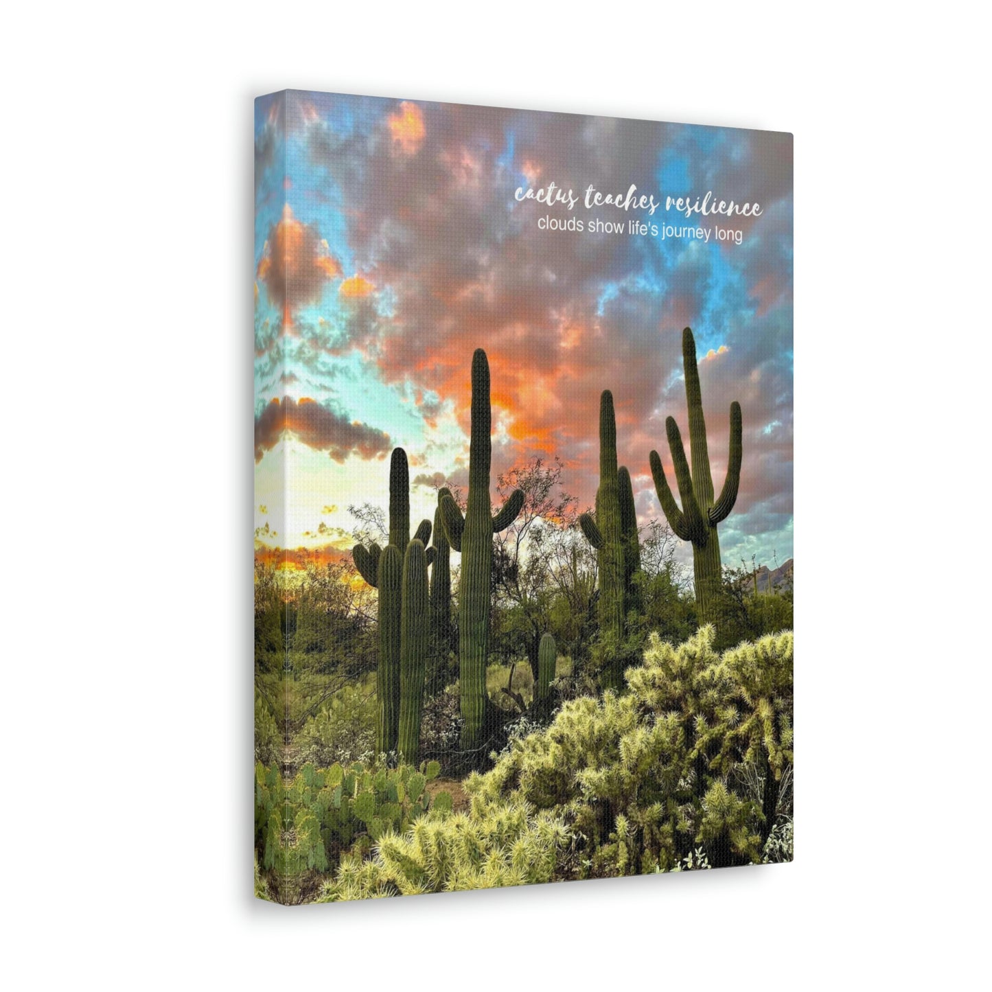 Cactus teaches resilience, clouds show life's journey long