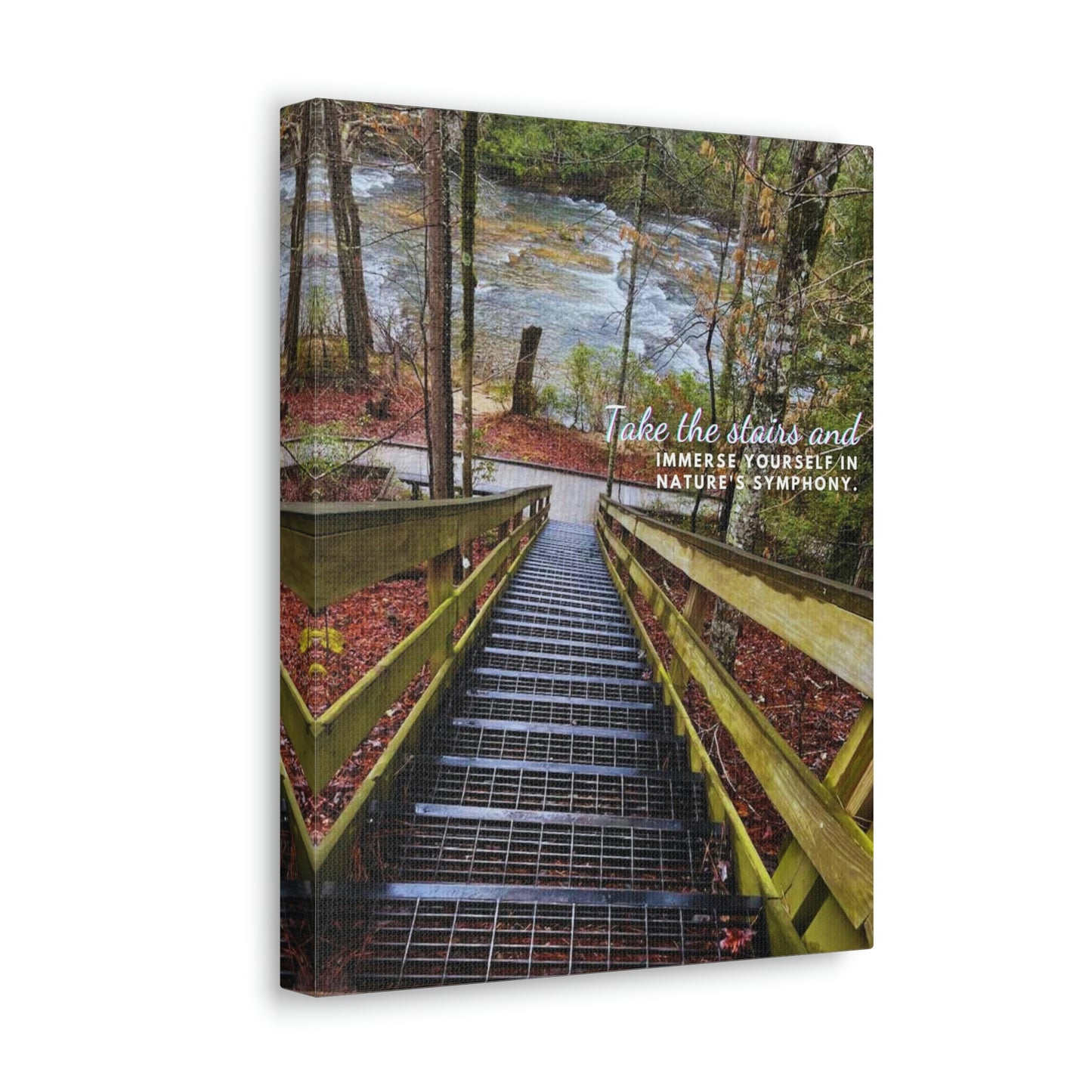 Take the stairs and immerse yourself in nature's symphony