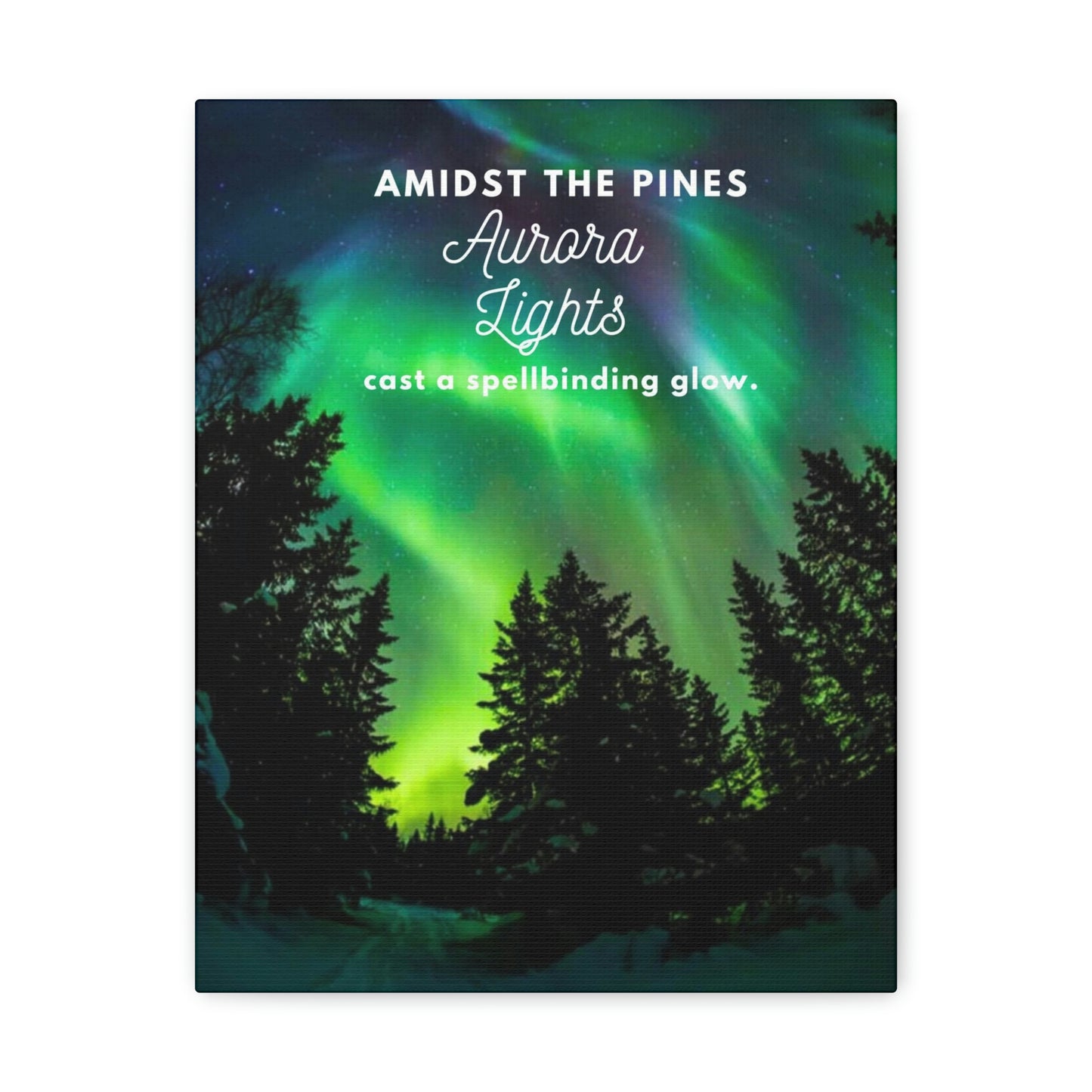 Amidst the pines, aurora lights cast a spellbinding glow.