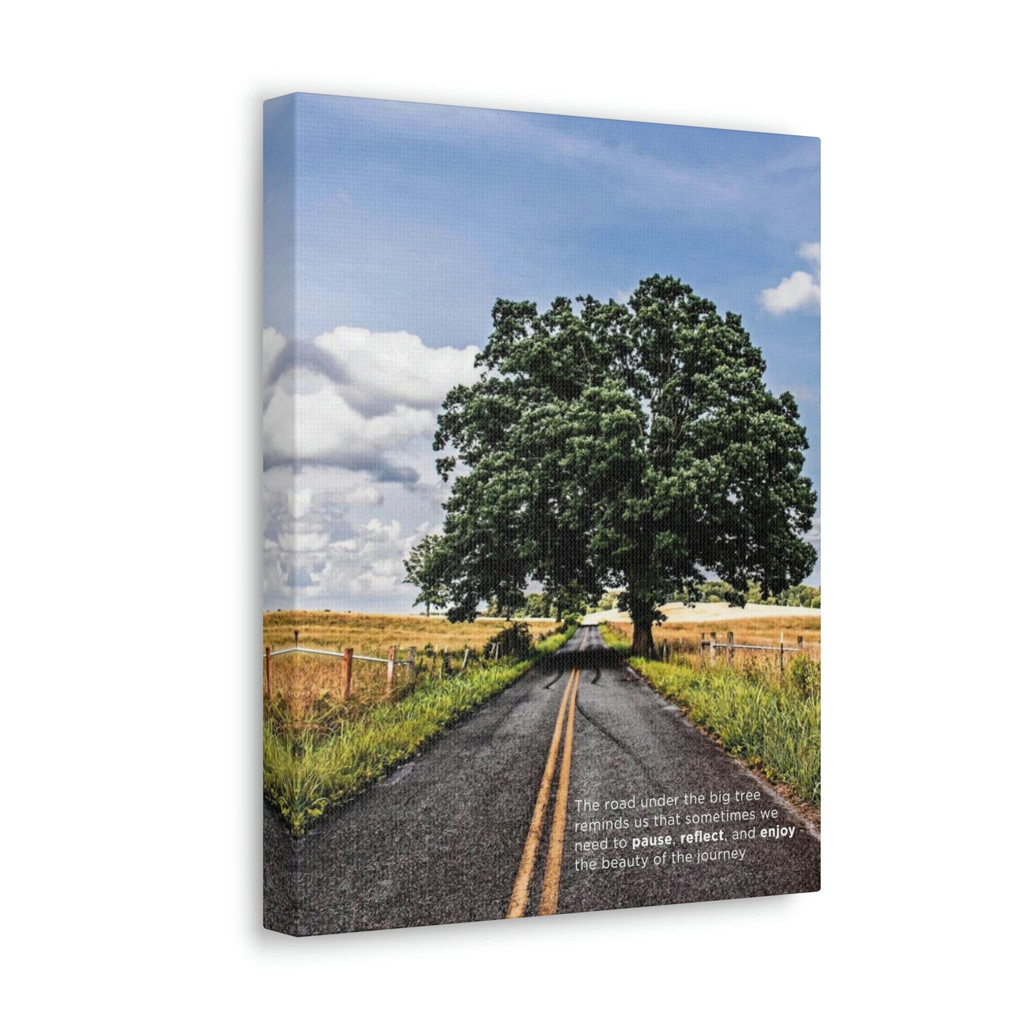 The road under the big tree reminds us that sometimes we need to pause, reflect, and enjoy the beauty of the journey