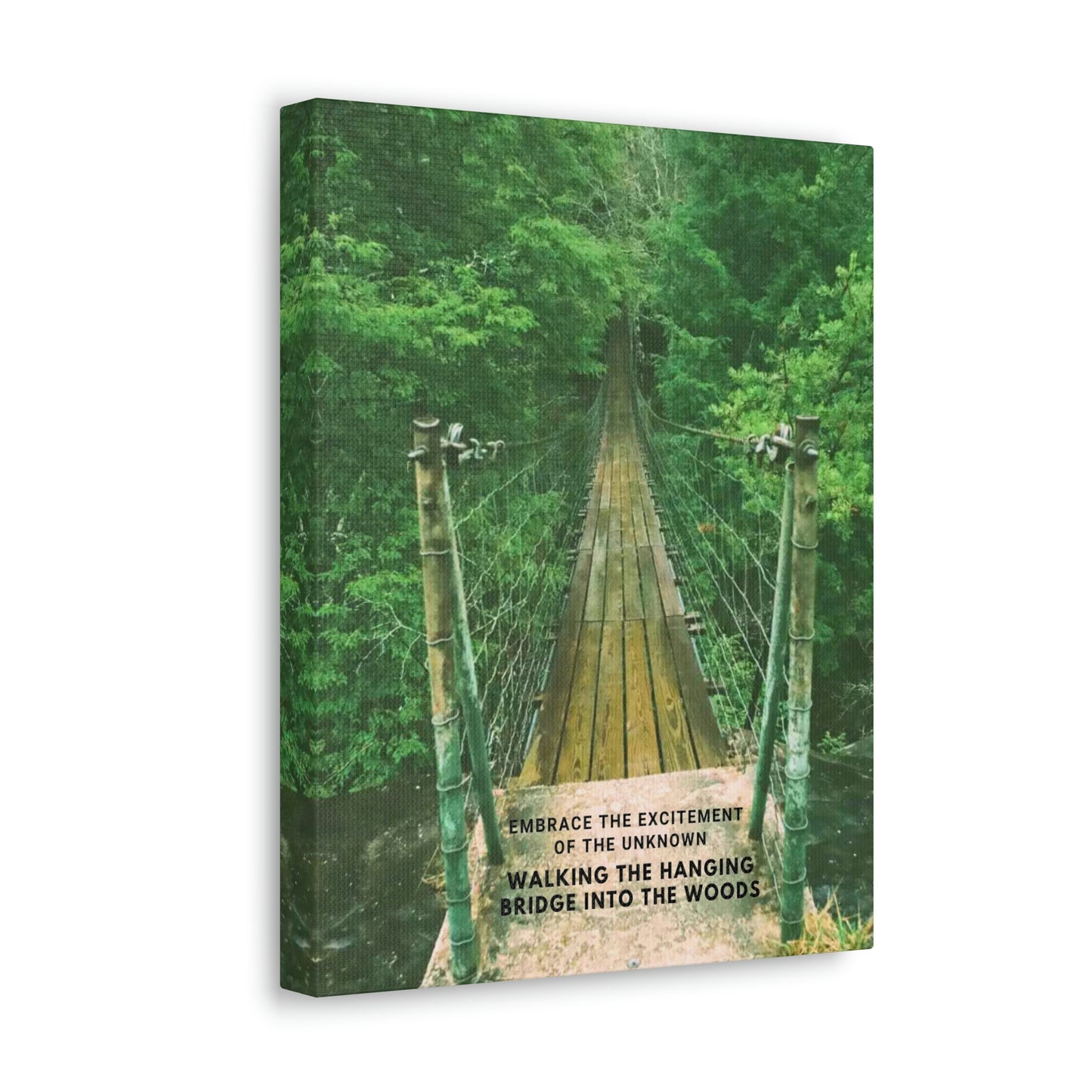 Embrace the excitement of the unknown, walking the hanging bridge into the woods.